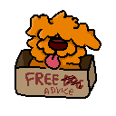 Free Dog in his free box